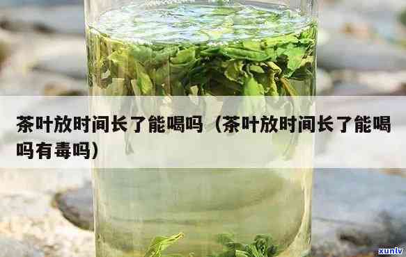 茶叶放7年还能喝吗？有吗？