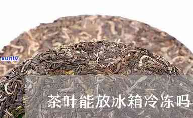 茶叶能冻在冰箱里吗-茶叶能冻在冰箱里吗能放多久