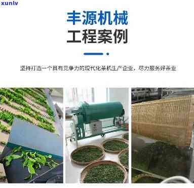 精揉机加工茶叶视频讲解全教程