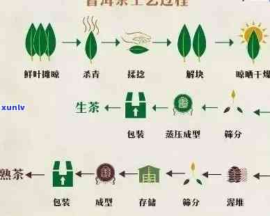 茶叶中提取实验视频-茶叶中提取实验视频教程