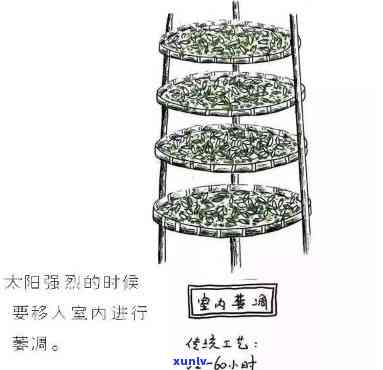 全面解析茶叶 *** 过程图片手绘图