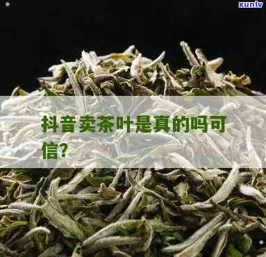 抖音上的茶叶视频：真实或虚假？