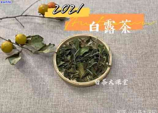 茶叶介绍视频开场白，探索茶的世界：茶叶介绍视频开场白