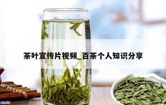 茶叶介绍视频开场白，探索茶的世界：茶叶介绍视频开场白