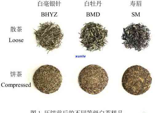 茶叶的白毫是什么成分，揭示茶叶白毫的秘密：成分解析与功效探讨