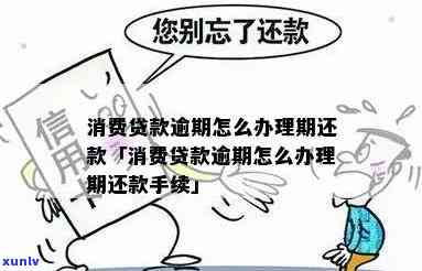 消费贷款的逾期还款-消费贷款的逾期还款方法