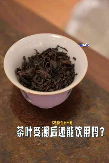 受潮的茶叶可以喝吗，受潮的茶叶还能喝吗？专家告诉你答案