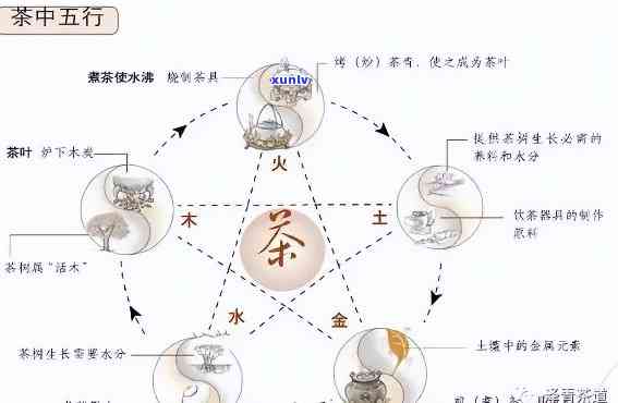 茶叶五行属木，探讨其属性与所属行业