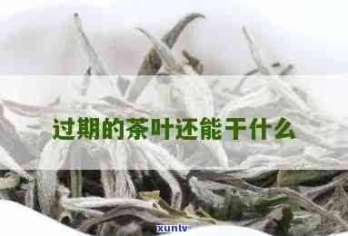 过期的茶叶能干什么-过期的茶叶能干什么用