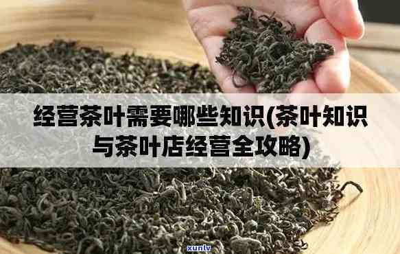 卖茶叶需要知道什么知识，掌握关键知识：卖茶叶必备指南