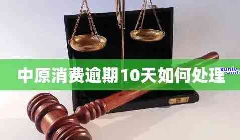 中原消费逾期10天：结果与解决办法全解析