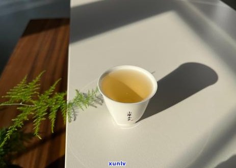 州特色茶叶是什么茶？详解州独特茶类与品种