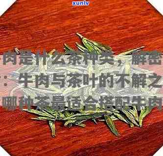 小牛肉茶叶属于什么茶？详解其类别与品种