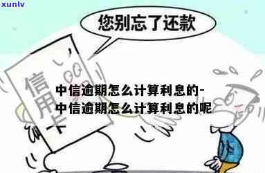 中信还贷逾期怎么算-中信还贷逾期怎么算利息