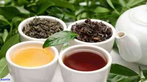茶叶出厂检验有哪些-茶叶出厂检验有哪些内容