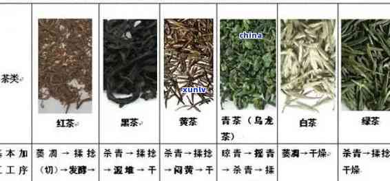 比较甜的茶叶品种介绍及图片，全网最全的品种名单