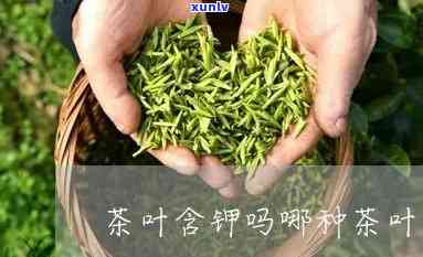 含钾高的茶叶有哪些-含钾高的茶叶有哪些螺