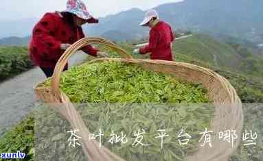 茶叶批发平台有哪些-茶叶批发平台有哪些