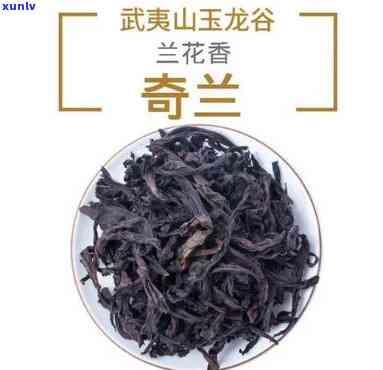 兰花香的茶叶品种介绍及图片展示