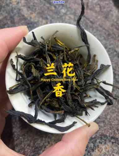 兰花香的茶叶品种全解析：哪些名字好听又独特？