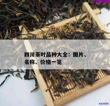 四川特色茶叶品种全览：详细介绍与图片