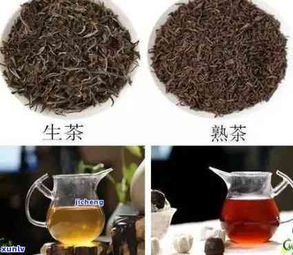 栗香味的茶叶有哪些-栗香味的茶叶有哪些品种