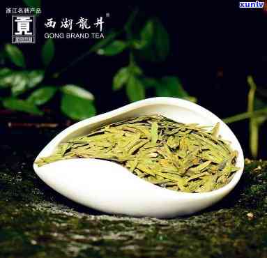 清香型的茶叶有哪些，探索清香型茶叶的世界：知名推荐