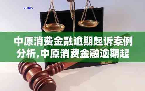 中原消费贷逾期起诉：案例分析与诉讼效果探讨