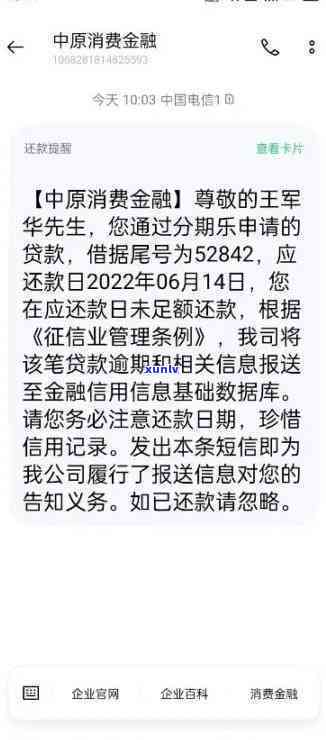 中原消费贷逾期起诉：案例分析与诉讼效果探讨