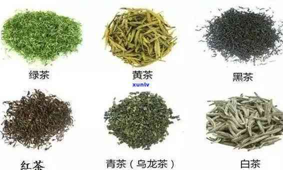 有香味的茶叶有哪些种类？探索世界各种香茗及其特点