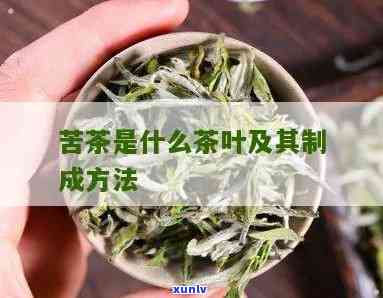 苦味重的茶叶有哪些种类？了解各类苦茶的特点与区别！