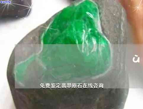 乌海翡翠原石鉴定机构大全：联系方式与推荐