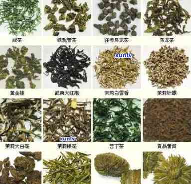 天喝的茶叶有哪些-天喝的茶叶有哪些品种