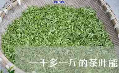 一千多的茶叶有哪些-一千多的茶叶有哪些