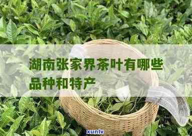 张家界的茶叶有哪些-张家界的茶叶有哪些品种