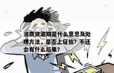 消费贷逾期是什么意思，「消费贷逾期」：理解这个金融术语的含义和作用