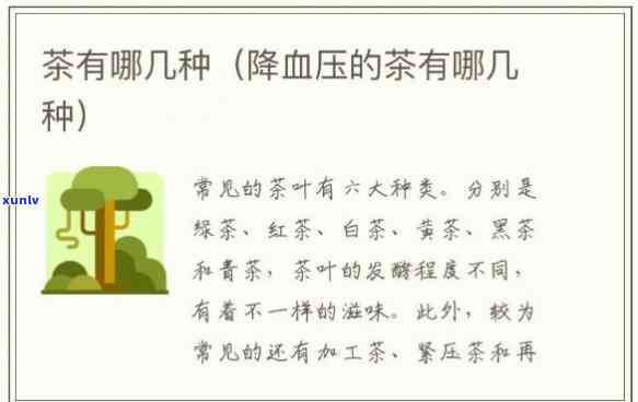 降血压的茶叶种类及优缺点全解析