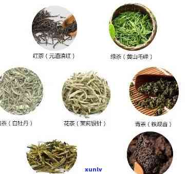 对肺好的茶叶有哪些品种，护肺佳品：哪些茶叶有助于保护肺部健？