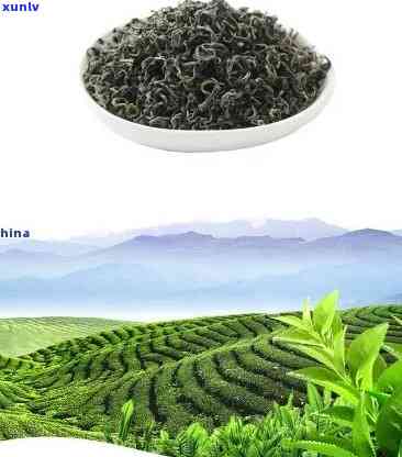 陕西特产茶叶有哪些-陕西特产茶叶有哪些品种