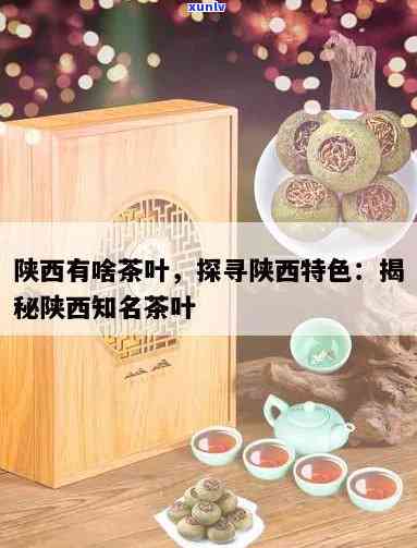 西安的特产茶叶，品味西安：探寻当地独特的特产茶叶