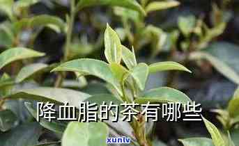 降血脂的茶叶品种介绍及推荐，图片包含