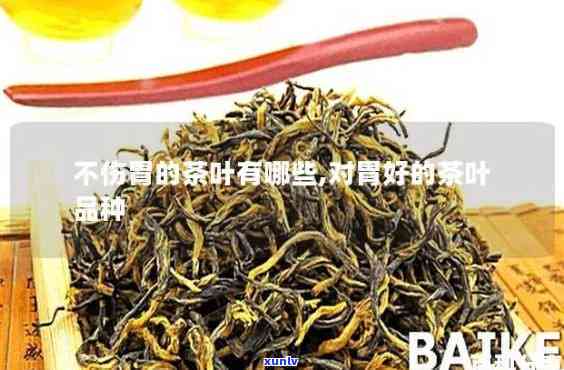 不伤胃的茶叶有哪些-幽门螺杆菌怕两种茶