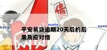 平安网贷逾期是不是会到户地找家人？作用及解决办法全解析