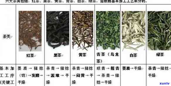 茶叶分类 *** 有哪些-茶叶分类 *** 有哪些种类