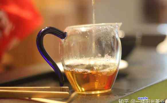 什么是高香型茶？详解高香型茶叶与茶杯的区别与特点