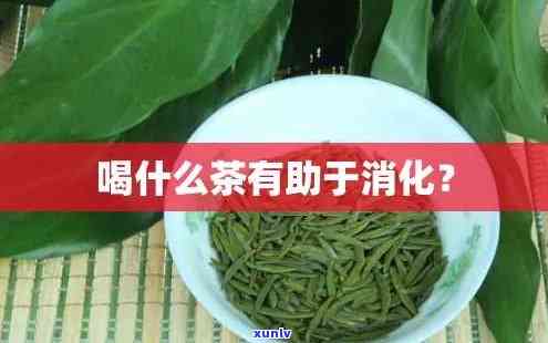 帮助消化的茶是哪种，探究助消化茶的功效与种类