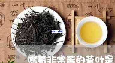 带苦味的茶叶有哪些-带苦味的茶叶有哪些品种