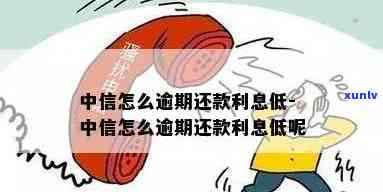 中信逾期利息怎样还-中信逾期利息怎样还款