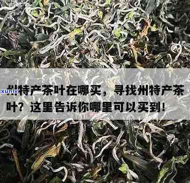 州特产茶叶：寻找推荐