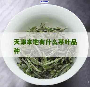 天津的茶叶，品味天津：探索当地知名的茶叶